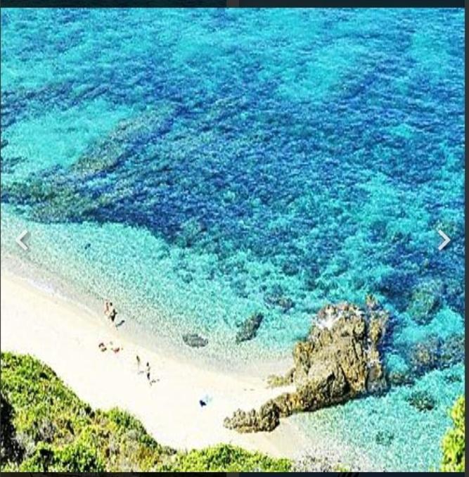 Capra Scorsa - Appt Vue Mer Et Piscine Partagee Belgodère Dış mekan fotoğraf