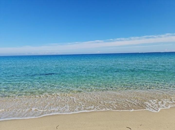 Capra Scorsa - Appt Vue Mer Et Piscine Partagee Belgodère Dış mekan fotoğraf